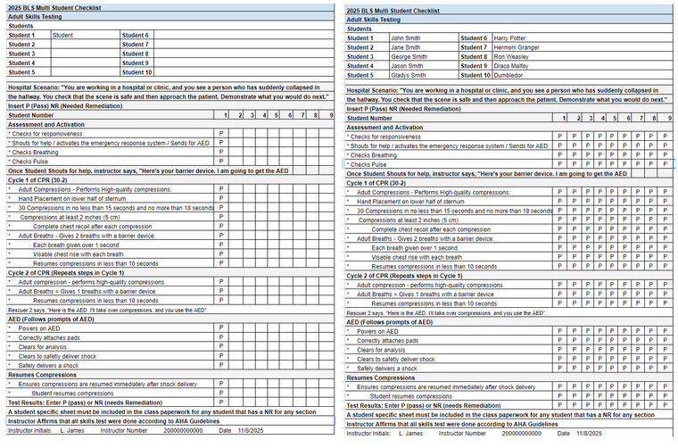 AHA 2025 ACLS, BLS and PALS Skills Testing Checklists