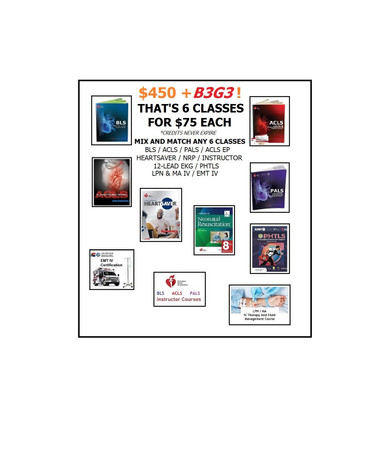 Six Class Bundle for $450 (INCLUDES Provider Manual E-Books!)