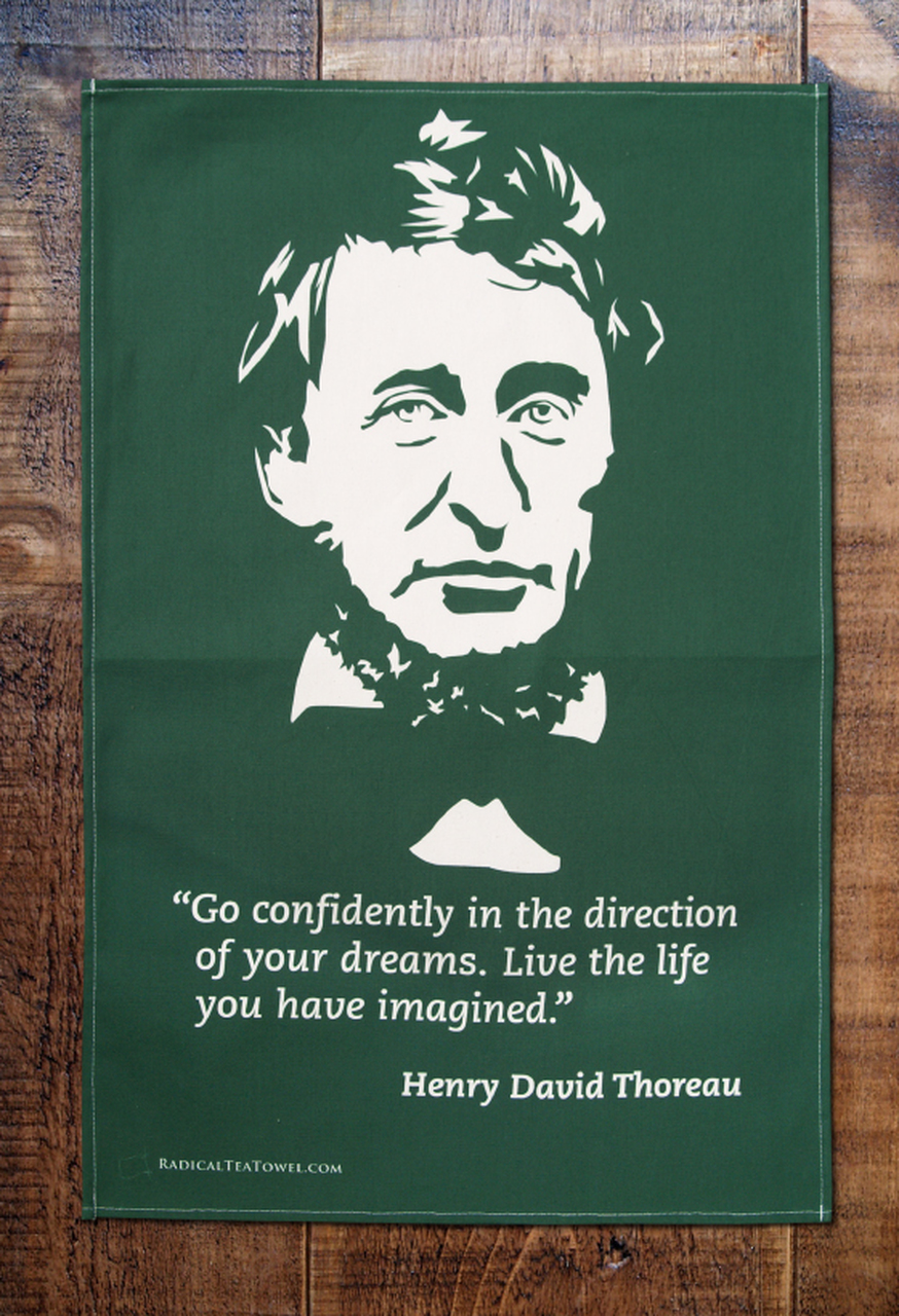 Analysis Of Why I Went To The Woods By Henry David Thoreau Analysis Of Why I Went To The Woods By Henry David Thoreau