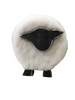 Little Sheep with Wool