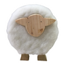 Little Sheep with Wool