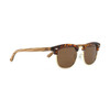 SOEK Sunglasses / Banjo in Tortoise
