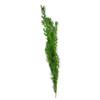Artificial Leaves - Green Field Horsetail