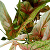 Artificial Leaf Branch - Red And Green Chinese Evergreen