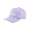 Puma Essential No1 BB Cap