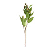 Artificial Fruit - Weeping Fig Branch / 65cm