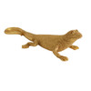 Large Golden Lizard Large Golden Lizard