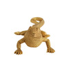 Large Golden Lizard Large Golden Lizard