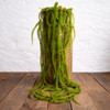 Amaranthus Green