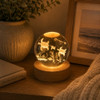 3D Crystal LED Light Globe 6cm - Sea Turtles