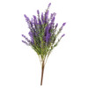 Lavender Bush