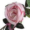 Everlasting Pink Peonies Roses