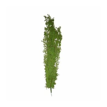 Hanging Cedar Leave Branch / 112cm