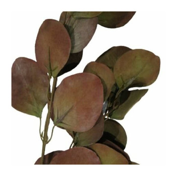 Eucalyptys branch / 86cm