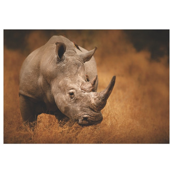 PVC Placemat - Big 5 Rhino
