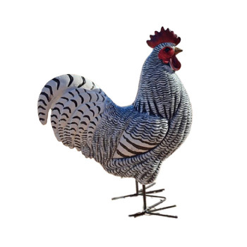 Sir Rooster / 32.5cm