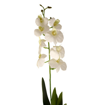 Artificial Flower - White Orchid