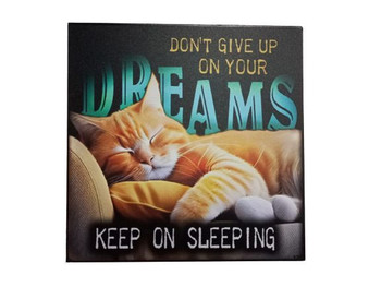 Wall Decor - Don't Give Up on Dreams