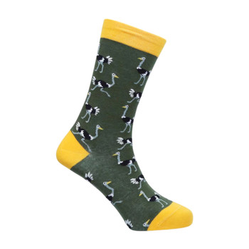 Socks / Ostrich Run