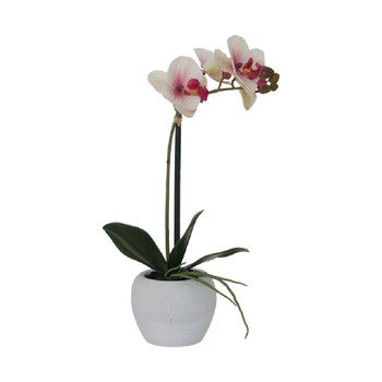 White & Pink Orchid in White Pot / 51cm