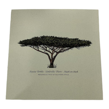 Upcoast African Indigenous Tree Cards