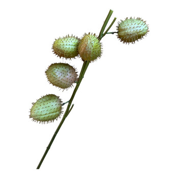 Artificial Plant - Green Thorn Apple