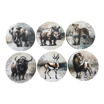 Coaster Set Of 6 - Wildlife