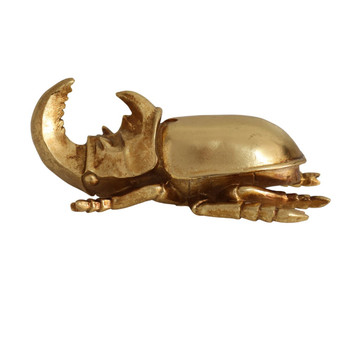 Gold Rhino Beetle
