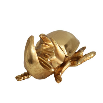 Gold Rhino Beetle