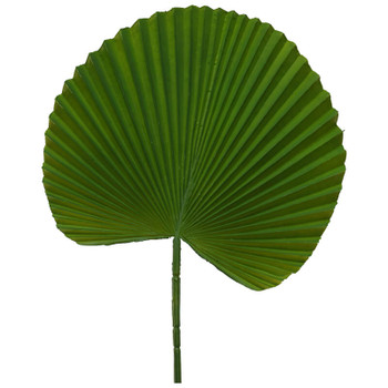 Giant Dark Green Fan Leaf / 80cm