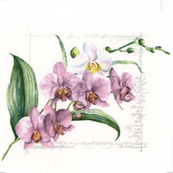 Serviette - Orchidèe (33x33cm)