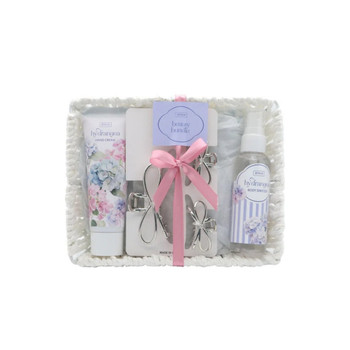 Hydrangea Beauty Bundle