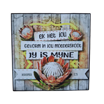 Wall Decor - Jy Is Myne Jeremia 1:5 Proteas