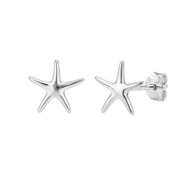 Plain Starfish Stud Earrings