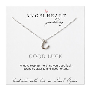 Horse Shoe Necklace on Silver Chain