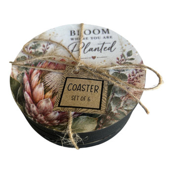 Bloom Protea Coaster Set Of 6