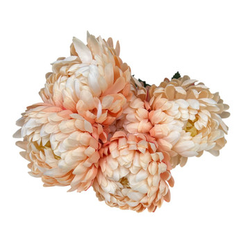 Blush Chrysanthemum 42cm