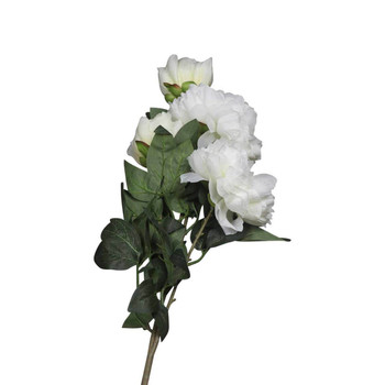 Everlasting Flower White Rose Bouquet