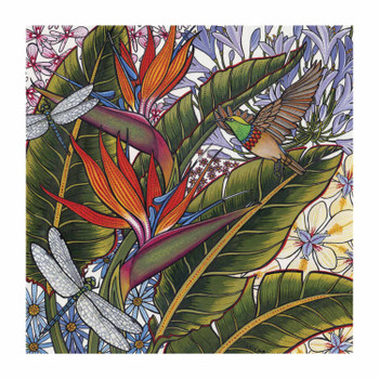 Sunbirds & Dragonflies Card