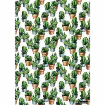 Gift Wrap Paper  - Succulents