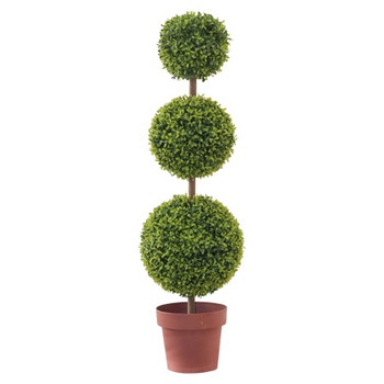 Teagrass Triple Topiary 100cm