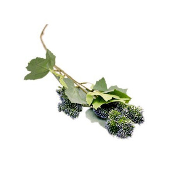 Everlasting Purple Thistle Branch (67cm)