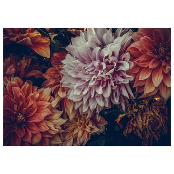 PVC Placemat - Dark Dahlias