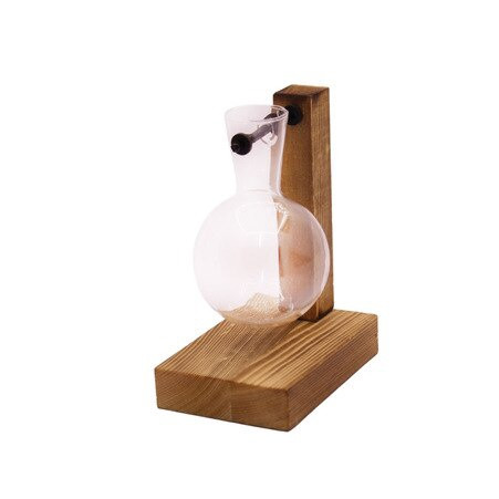 One Glass Vase with Wooden Stand & Iron Rod