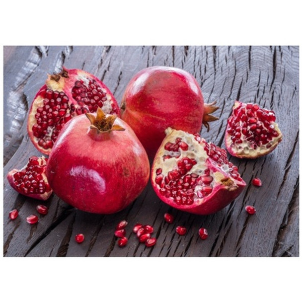 Disposable Placemat - Pack of 24 - Broken Pomegranates