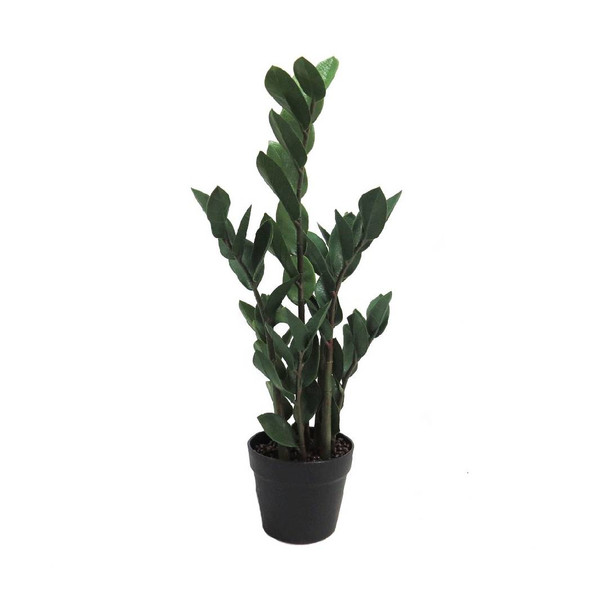 Green Artificial Zamico Plant - 65cm