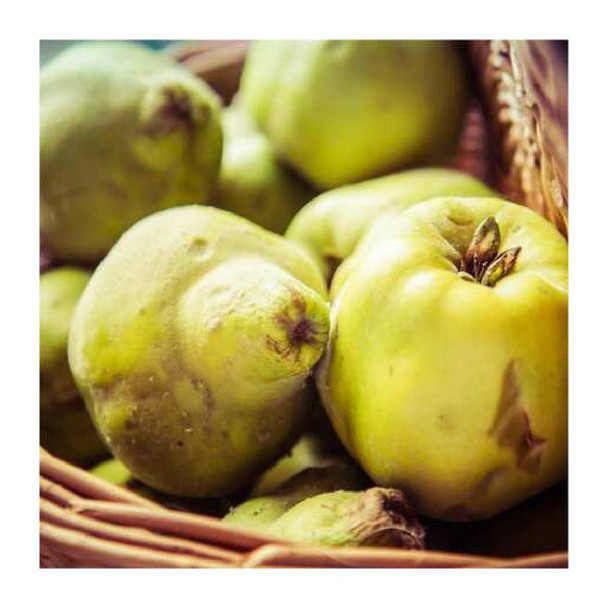 Hot pot stand and coaster design - green quinces in a wooden basket
