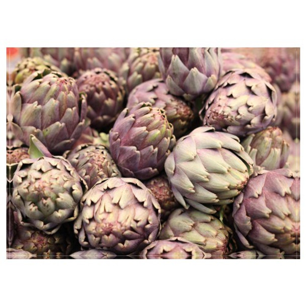 Disposable Placemat - Pack of 24 - Purple Artichoke