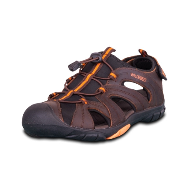 Drakensberg Brown  Shoes