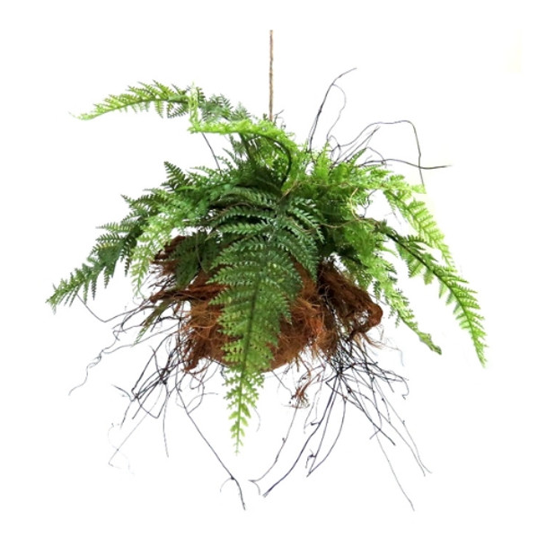 Gone Wild Hanging Fern Ball